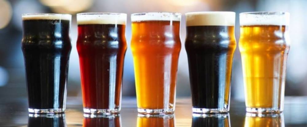 Beer And Cider Festival 2024